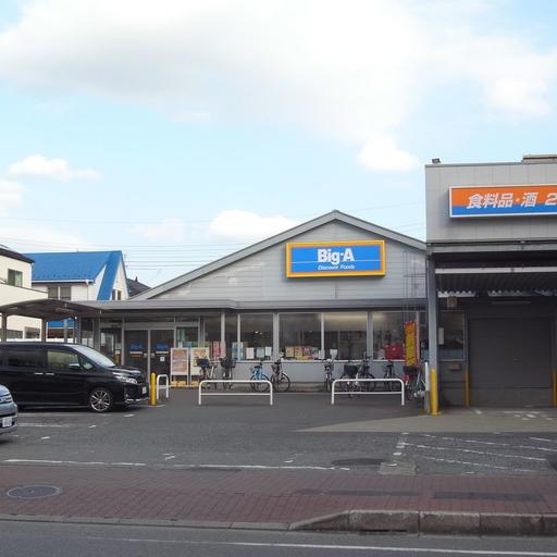 ビッグ・エー 習志野実籾店